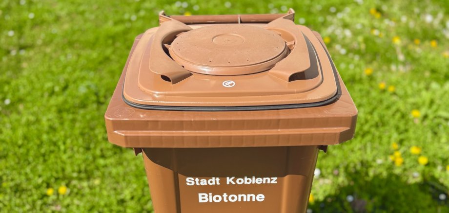 Biotonne auf Wiese 20181102_104414.jpg