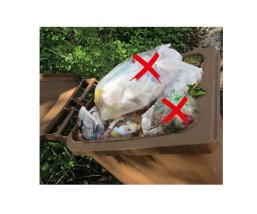 keine Plastiktüten in die Biotonne