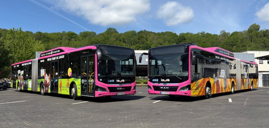 koveb-Gelenkbusse foliert mit Kampagnenmotiven des Kommunalen Servicebetriebs Koblenz 20181102_104414.jpg