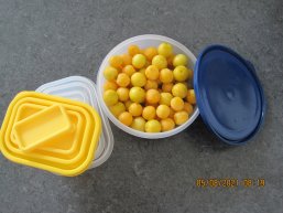 Foto von Mehrwegdosen zur Verpackung von Lebensmitteln Foto von Mehrwegdosen zur Verpackung von Lebensmitteln